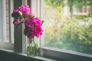beautiful-flowers-home-pink-favim-com-4782363